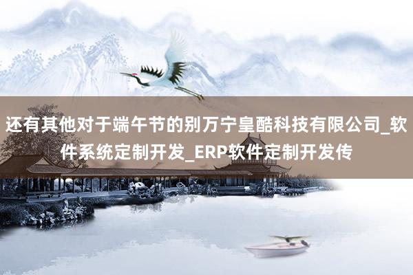还有其他对于端午节的别万宁皇酷科技有限公司_软件系统定制开发_ERP软件定制开发传