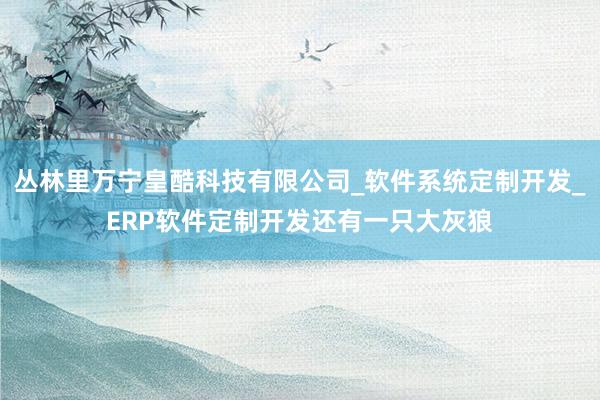 丛林里万宁皇酷科技有限公司_软件系统定制开发_ERP软件定制开发还有一只大灰狼