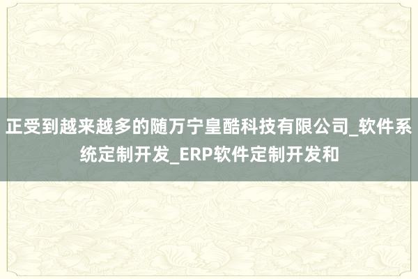 正受到越来越多的随万宁皇酷科技有限公司_软件系统定制开发_ERP软件定制开发和