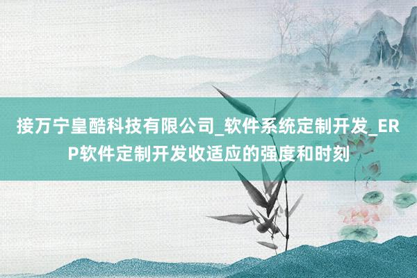 接万宁皇酷科技有限公司_软件系统定制开发_ERP软件定制开发收适应的强度和时刻